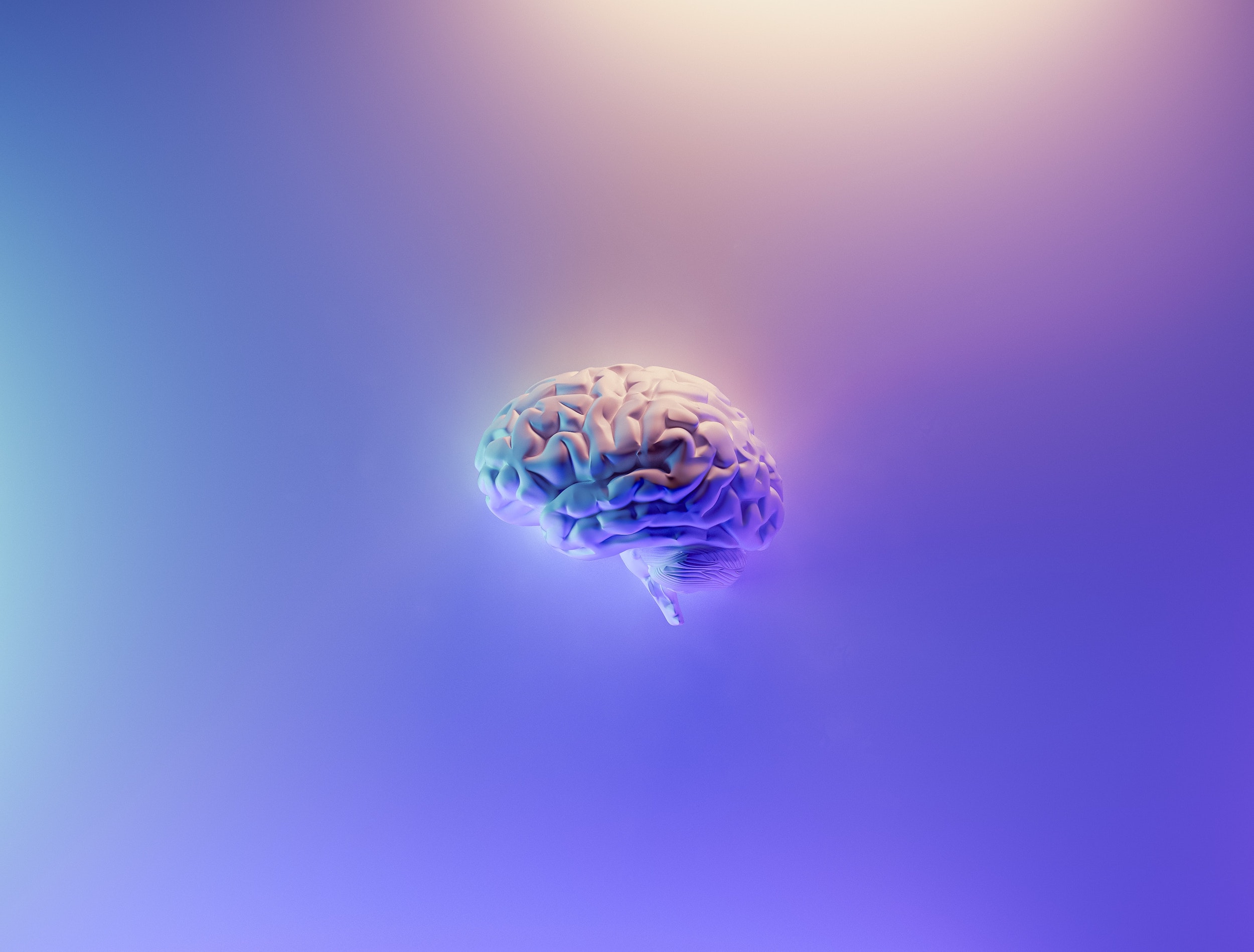 Read more about the article The Neurobiology of Mindfulness: 5 Key Areas